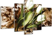 Glasschilderij Tulpen - Groen, Bruin, Wit - 170x100cm 5Luik - Foto Op Glas - Geen Acrylglas Schilderij - 6000+ Glasschilderijen Collectie - Wanddecoratie