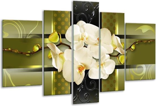 Glasschilderij Orchidee - Groen - 170x100cm 5Luik - Foto Op Glas - Geen Acrylglas Schilderij - 6000+ Glasschilderijen Collectie - Wanddecoratie