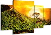 GroepArt - Schilderij -  Natuur - Groen, Oranje, Geel - 160x90cm 4Luik - Schilderij Op Canvas - Foto Op Canvas