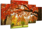 GroepArt - Schilderij -  Herfst - Oranje, Groen, Geel - 160x90cm 4Luik - Schilderij Op Canvas - Foto Op Canvas