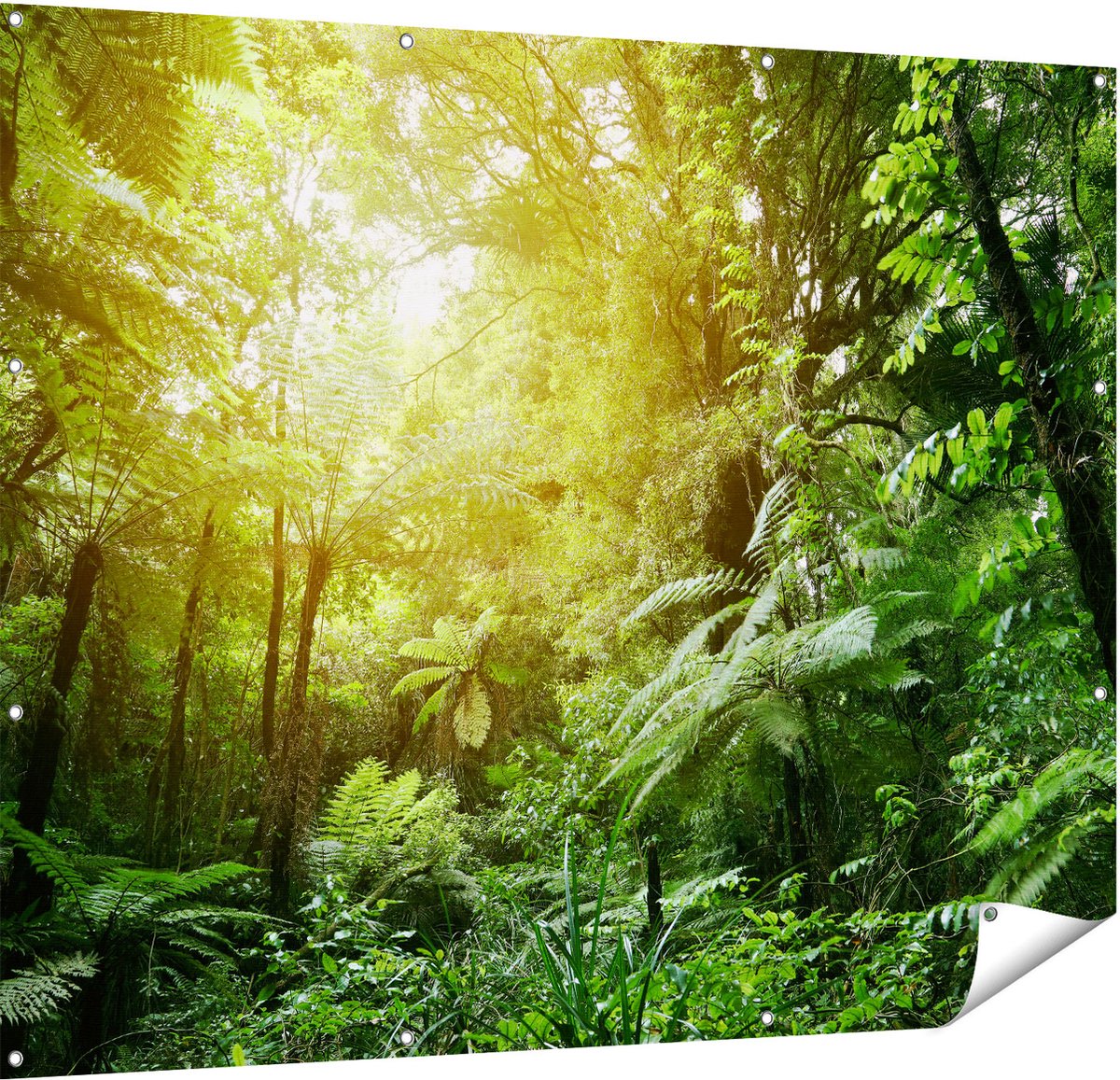 Gards Tuinposter Tropische Jungle met Zonneschijn - 150x120 cm - Tuindoek - Tuindecoratie - Wanddecoratie buiten - Tuinschilderij Multikleur