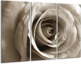 Peinture | Peinture sur toile Rose, Fleur | Sépia | 120x80cm 3 Liège | Tirage photo sur toile