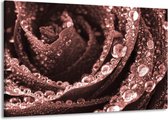 Peinture | Peinture sur toile fleur, rose | Marron, rouge | 140x90cm 1 Liège | Tirage photo sur toile