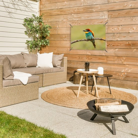 Affiche de Jardin Vogel - Guêpier - Animaux - 60x40 - Toile jardin - Affiche extérieure