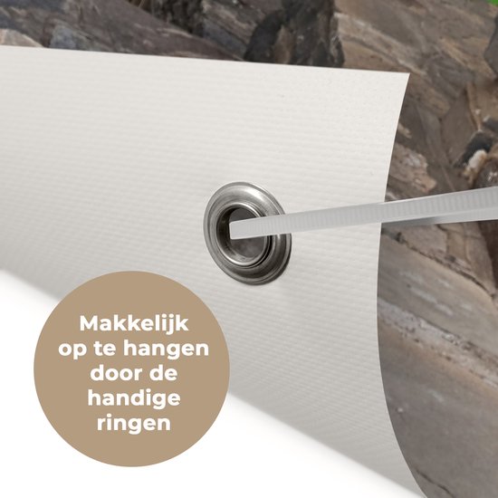 Affiche de jardin - Transparente - Hortensia - Fleurs - Maison - Jardin - 40x60 cm - Décoration de clôture - Toile de jardin