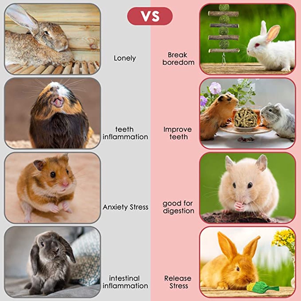 Speelgoed - Konijn - Knaagdier - Snacks en Speeltjes - Wilgen — afbeelding 3