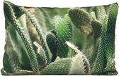 Sierkussen - Cactus - Multicolor - 30 Cm X 30 Cm
