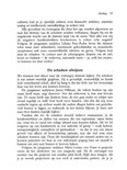 Product afbeelding  13