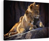 Artaza Canvas Schilderij Leeuw en Leeuwin zitten naast elkaar - 120x80 - Groot - Foto Op Canvas - Wanddecoratie Woonkamer