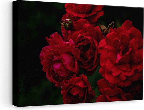 Artaza Canvas Schilderij Rode Bloemen met Zwarte Achtergrond - 60x40 - Foto Op Canvas - Canvas Print