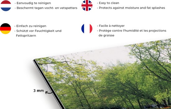 Spatscherm keuken 80x55 cm - Kookplaat achterwand Bloemenpark Keukenhof in Nederland - Muurbeschermer - Spatwand fornuis - Hoogwaardig aluminium