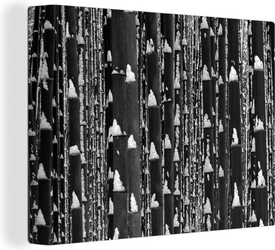 Canvas Schilderij Bamboebos in de winter - zwart wit - 120x90 cm - Wanddecoratie