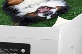 Wasmachine beschermer - Wasmachine mat - Berner Sennenhond ligt lekker op het gras - 60x60 cm - Droger beschermer