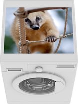 Wasmachine beschermer mat - Coati aan het klimmen - Breedte 55 cm x hoogte 45 cm