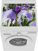 Wasmachine beschermer mat - Japanse irisbloemen - Gras - Paars - Breedte 55 cm x hoogte 45 cm