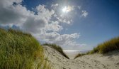 Fotobehang duinen en strand Ameland 450 x 260 cm