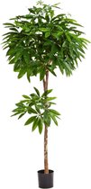 Pachira - kunstplant