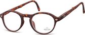 opvouwbare leesbril matbruin sterkte +2,50 (box66a)