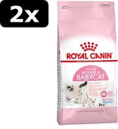 2x RC BABYCAT 4KG