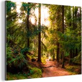 Wanddecoratie Metaal - Aluminium Schilderij Industrieel - Bos - Pad - Bomen - Groen - Zon - Natuur - 40x30 cm - Dibond - Foto op aluminium - Industriële muurdecoratie - Voor de woonkamer/slaapkamer