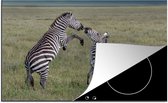 KitchenYeah® Inductie beschermer 76x51.5 cm - Spelende zebras - Kookplaataccessoires - Afdekplaat voor kookplaat - Inductiebeschermer - Inductiemat - Inductieplaat mat