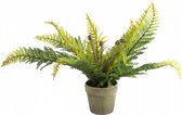 kunstplant Monilophyta 55 x 40 cm polysteen groen