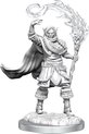 Afbeelding van het spelletje D&D Nolzur's Marvelous Miniatures Elf Cleric Male 2