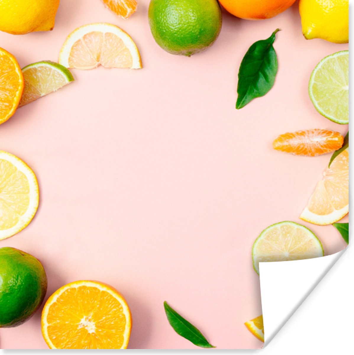 Poster Fruit - Citrus - Pastel - 75x75 cm