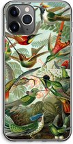 Case Company® - iPhone 11 Pro Max hoesje - Haeckel Trochilidae - Soft Cover Telefoonhoesje - Bescherming aan alle Kanten en Schermrand