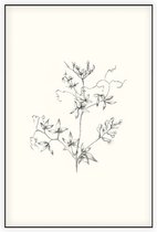 Rankende Helmbloem zwart-wit Schets (Climbing Corydalis) - Foto op Akoestisch paneel - 80 x 120 cm