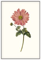 Anemoon Aquarel (Anemone) - Foto op Akoestisch paneel - 150 x 225 cm