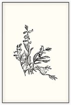 Vleugeltjesbloem zwart-wit (Milkwort) - Foto op Akoestisch paneel - 100 x 150 cm