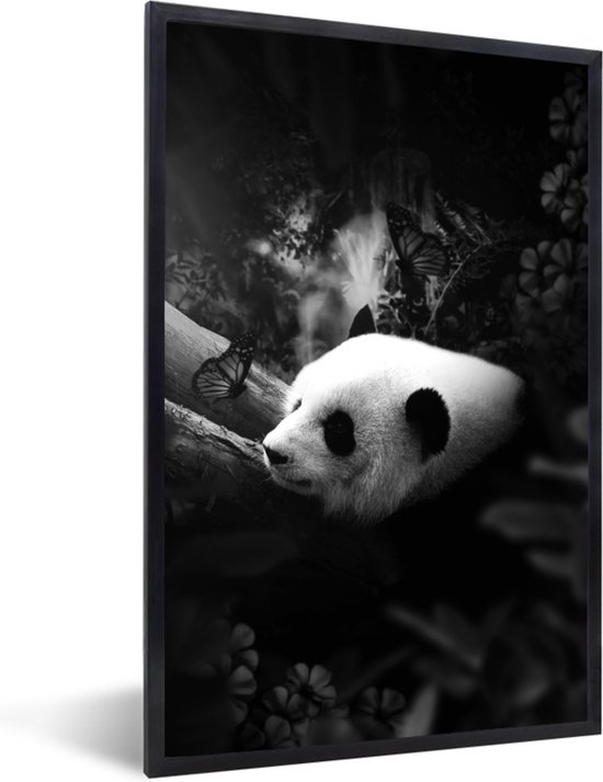 Fotolijst Incl Poster Zwart Wit Panda Met Vlinders In De Jungle Zwart Wit 60x90 