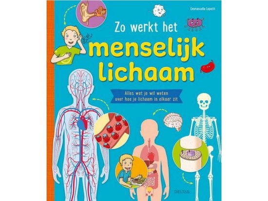 Zo werkt het menselijk lichaam, Emmanelle Lepetit | 7090466055327