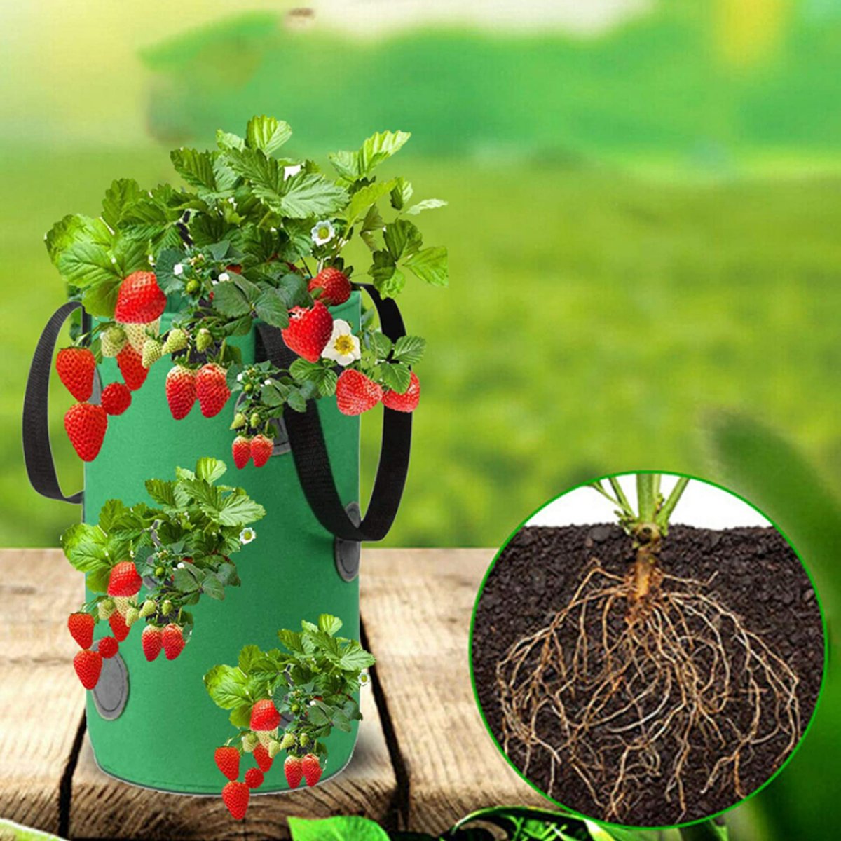 Aardbeien Plantzak, 2 Stuks 10 Gallon Aardbeien Kweekzakken Met 8 Zij Kweekvakken Ademende Niet Geweven Stof Versterkt Handvat Voor Tuin Stra Aardbeien Plantzak, 2 Stuks 10 Gallon Aardbeien Kweekzakken Met 8 Zij Kweekvakken Ademende Niet Geweven Stof Versterkt Handvat Voor Tuin Stra