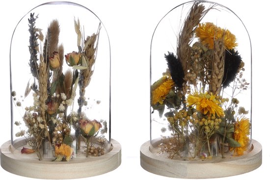  - Glazen stolp met droogbloemen naturel Ø10cm (1 st.)