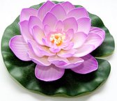waterlelie Lotus 20 cm foam roze/groen