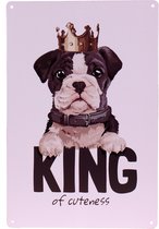 Metalen plaatje king of cuteness hond - 21x33 cm