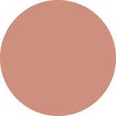 Blanco muurcirkel zalm 2 stuks 40 cm / Dibond