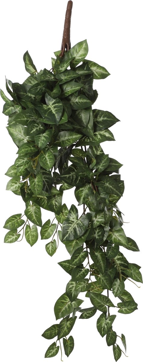 Mica Decorations Mica Syngonium hangend groen