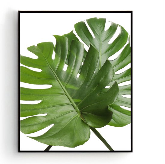 Schilderij  2 Botanische tropische groene bladeren gekruist / Planten / Bladeren / 50x40cm