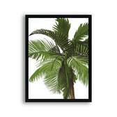 Schilderij  Tropische palmboom / Planten / Bladeren / 50x40cm