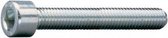 inbusbout 10 x 60 mm zink zakje 10 pcs
