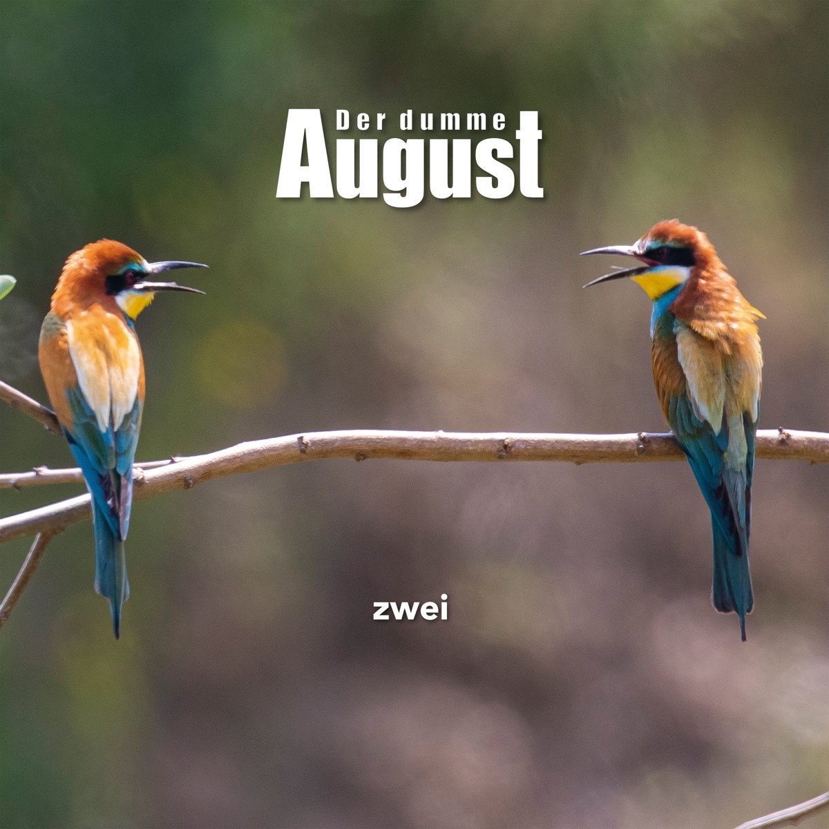 Der Dumme August - Zwei (LP) (Limited Edition) (Coloured Vinyl)