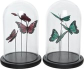 Decoris Stolp glas met vlinders Ø14-H21cm (1 stuk) assorti