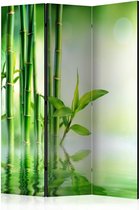 Vouwscherm - Green Bamboo [Room Dividers]