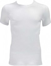 T-shirts Round Neck heren biokatoen wit 2 stuks maat L