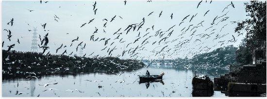 WallClassics - Poster Glanzend – Zwerm Vogels boven Rivier - 90x30 cm Foto op Posterpapier met Glanzende Afwerking