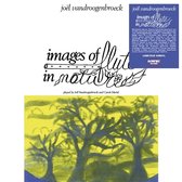 Joel Vandroogenbroeck - Images Of Flute In Nature (LP)