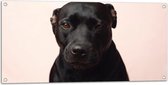 Tuinposter – Portret van Zwarte Hond tegen Pastelroze Achtergrond - 100x50 cm Foto op Tuinposter (wanddecoratie voor buiten en binnen)